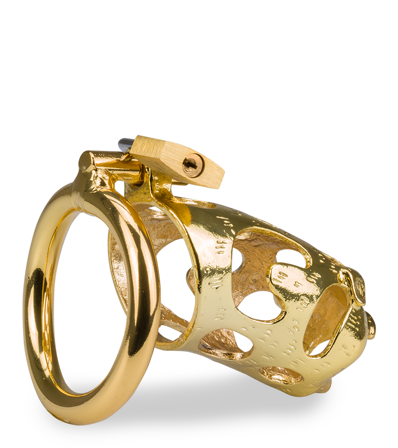 Cage de chasteté pénis astrologie chinoise Cochon Doré