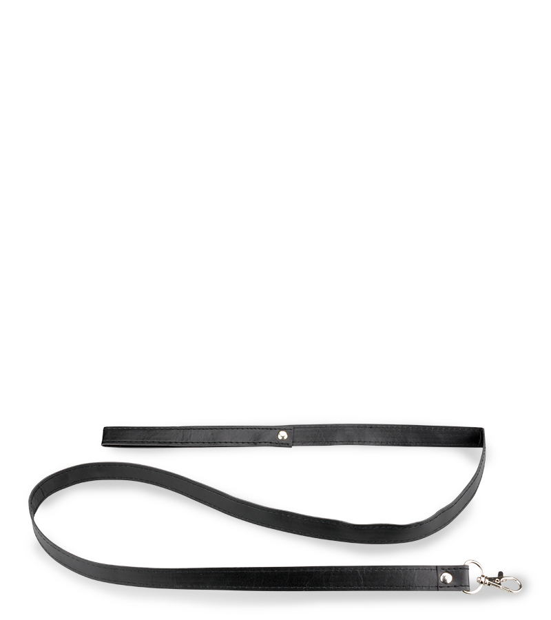 Collier et laisse en cuir BDSM