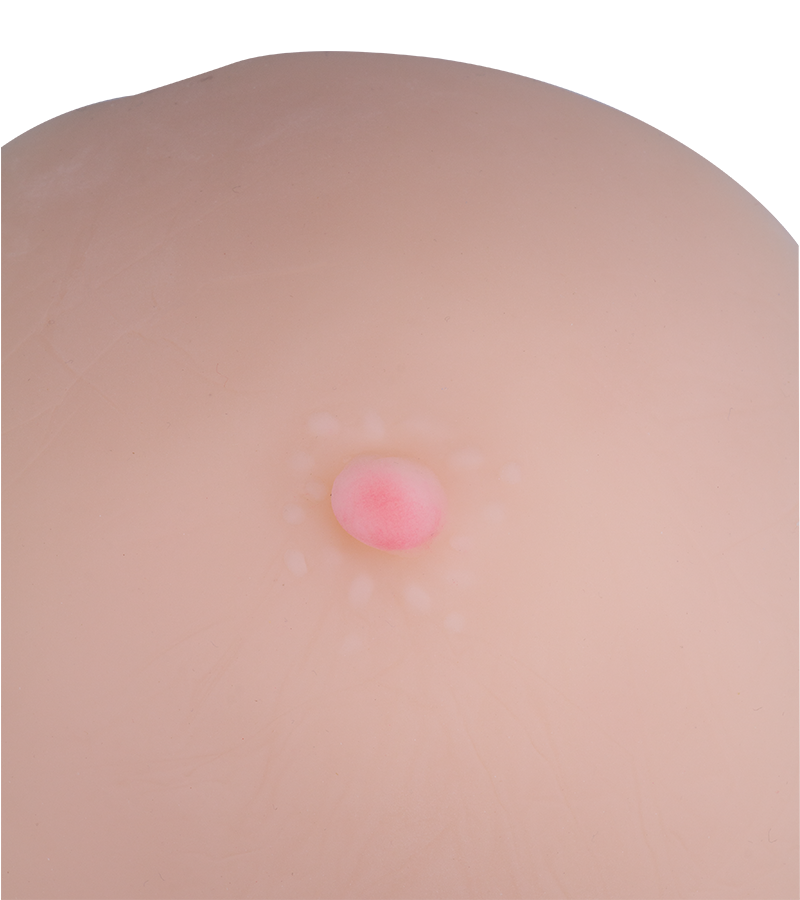 Fausse poitrine en silicone bonnet B