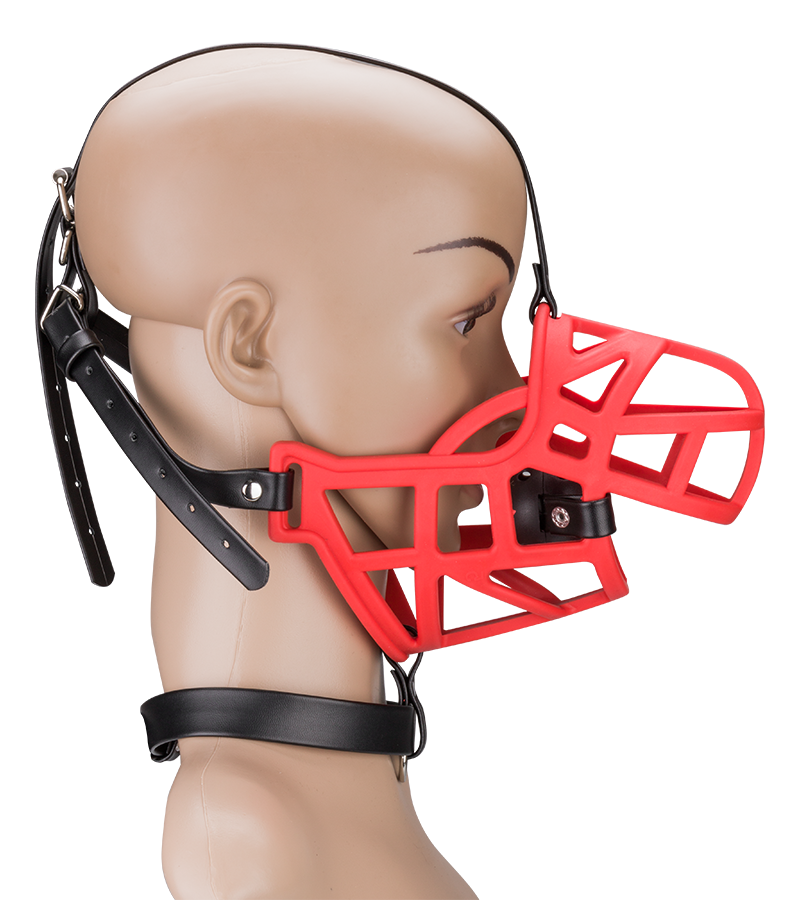 Muselière avec gag-ball amovible