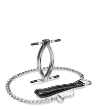 Charger l'image dans la galerie, Pince à vagin en acier inoxydable + laisse