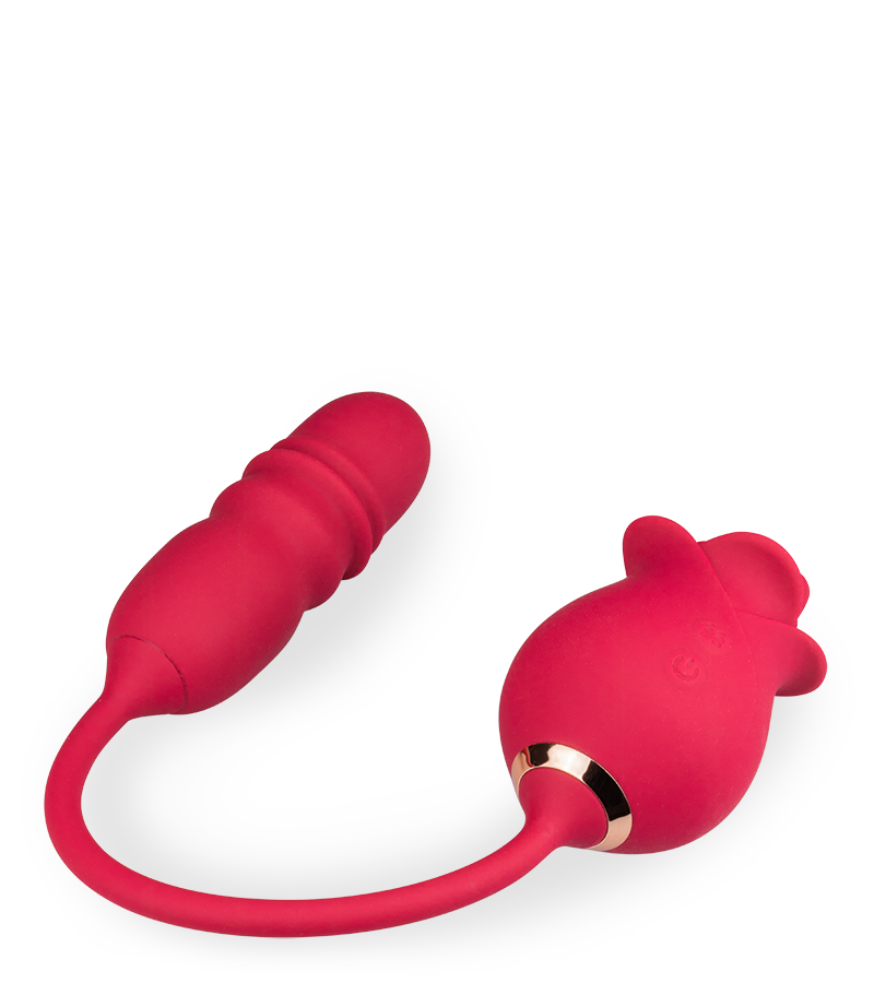 Stimulateur de clitoris avec vibromasseur va-et-vient Bora-Bora