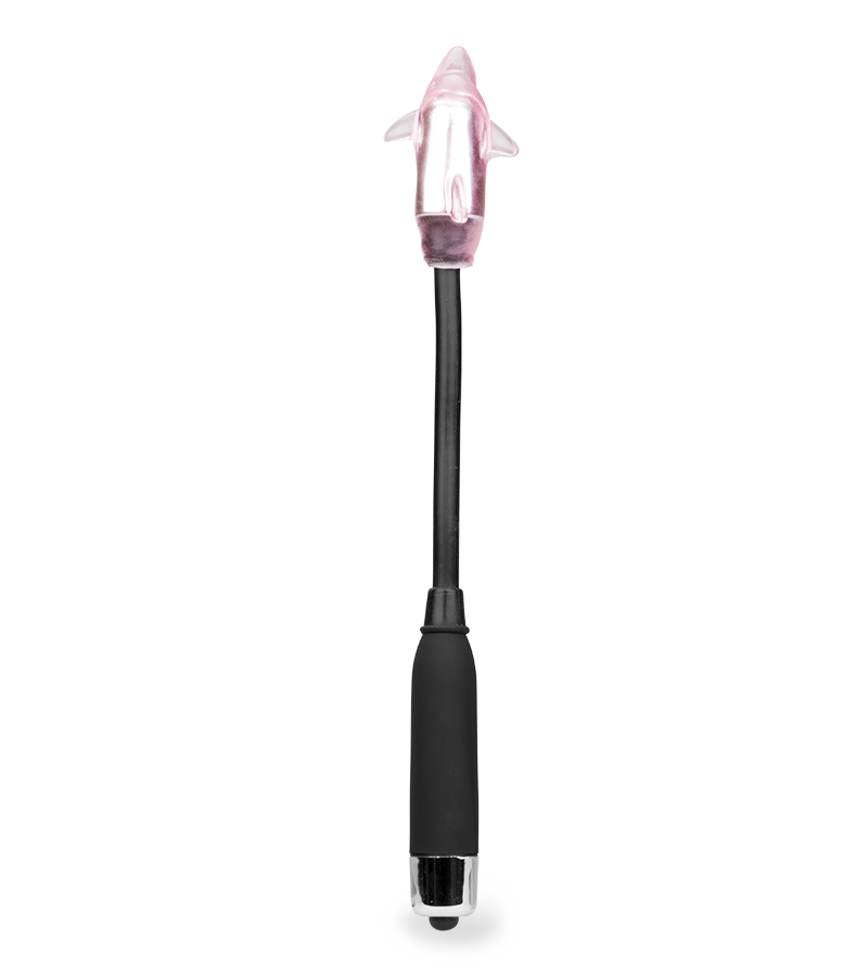 Vibro baguette magique 4 embouts